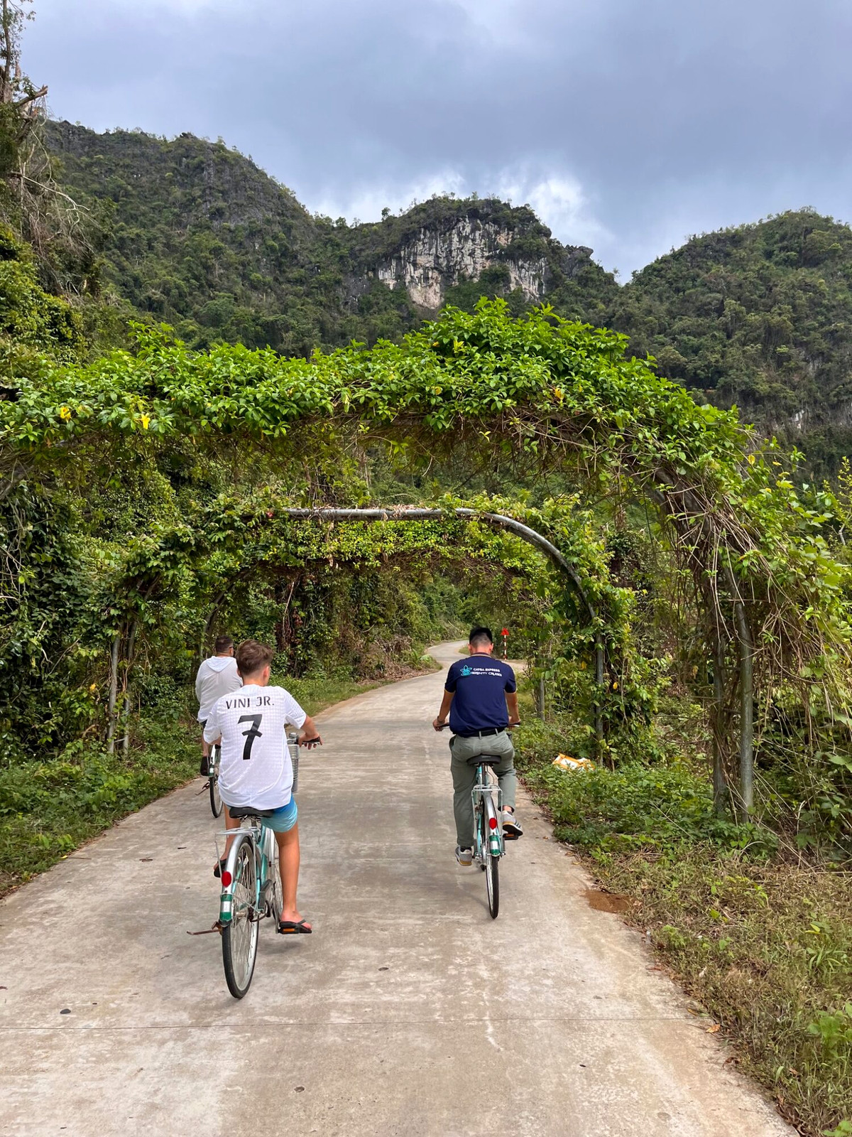 Cyclists riding along a rural path through dense green vegetation on Cat Ba