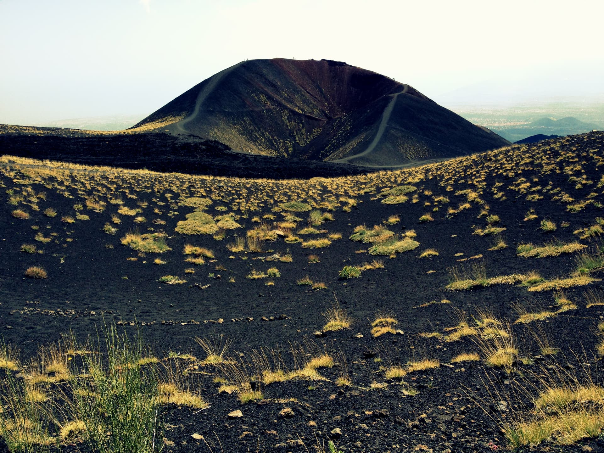 A wide volcanic crater on Mount Etna with black soil and yellow shrubs