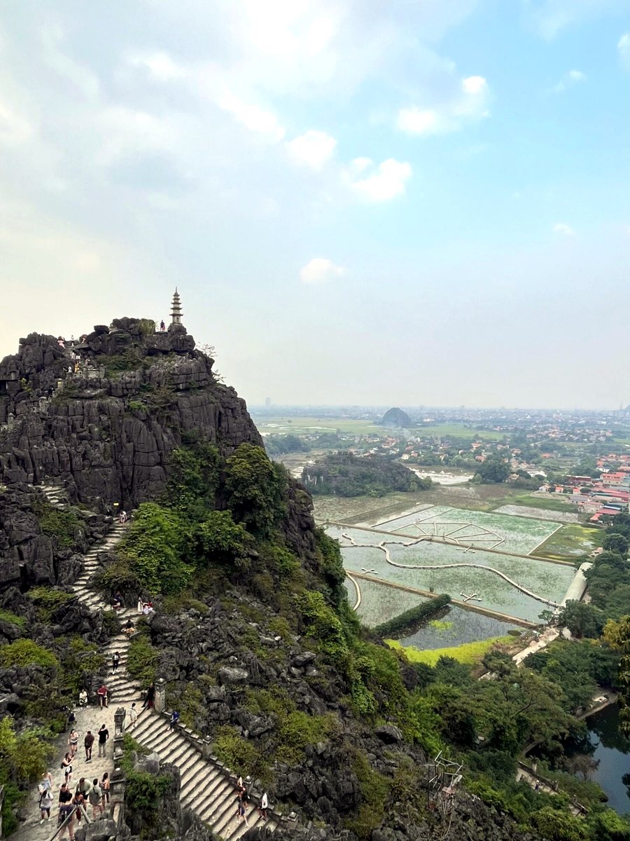 View from Hang Múa over the stairs, pagoda and rice fields of Ninh Binh
