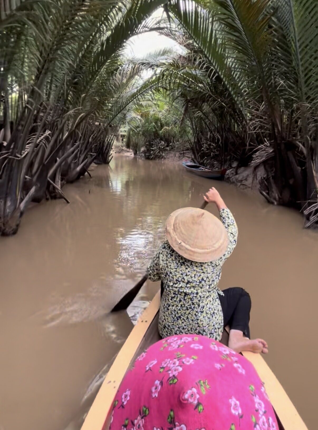 Rowing boat travelling through a muddy canal lined with dense palms