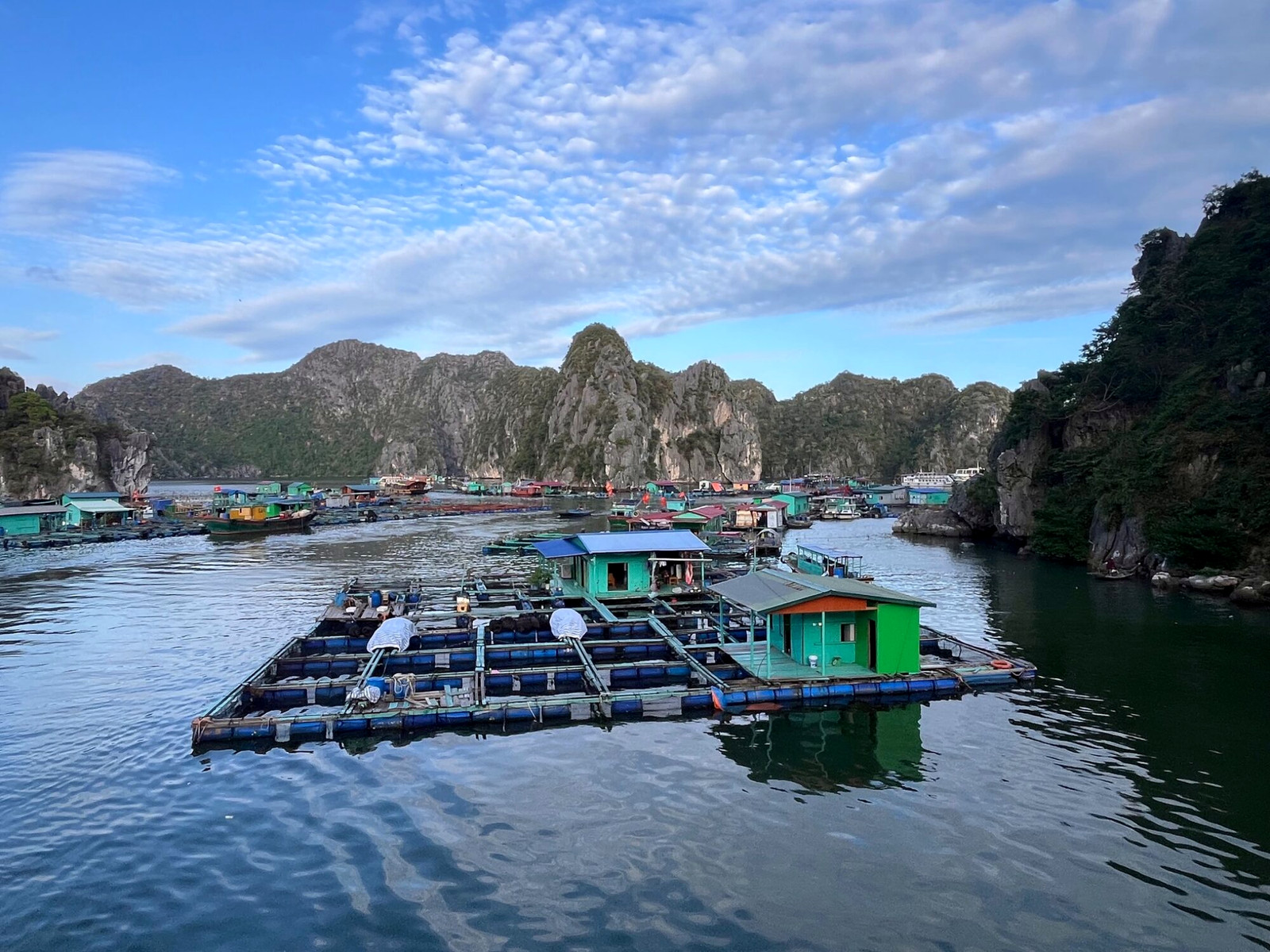 Floating platforms and small boats surrounded by limestone peaks in Lan Ha Bay