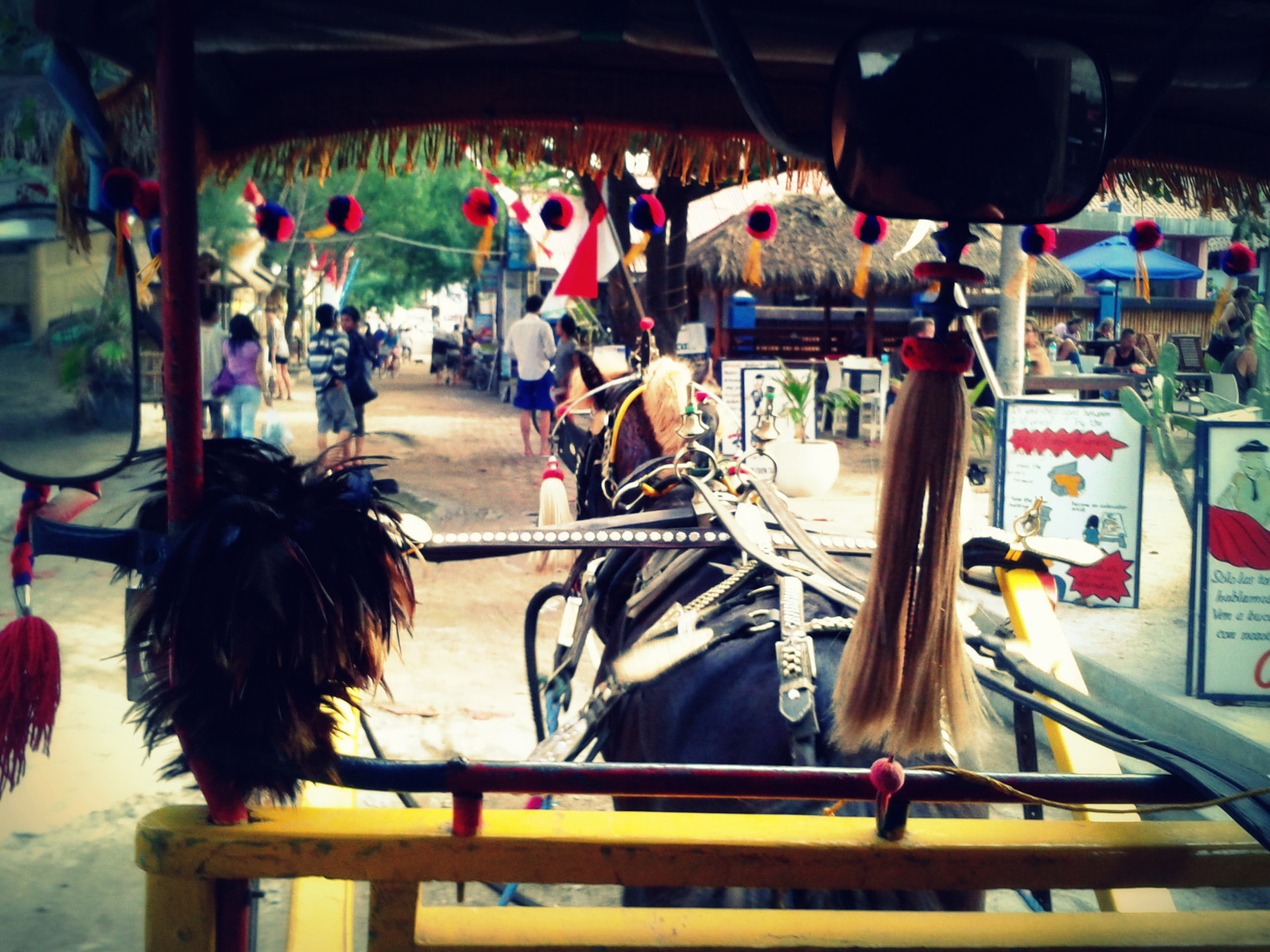 View from inside a decorated horse carriage riding along a sandy street on Gili Trawangan