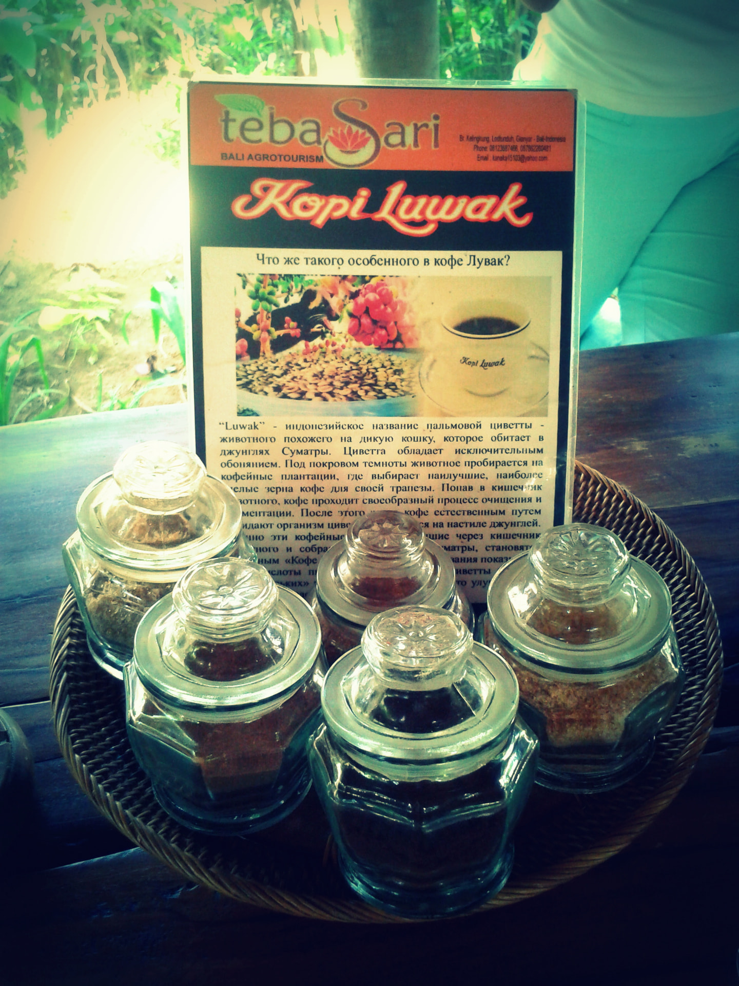 Small glass jars of coffee grounds beside a Kopi Luwak information sign at a Bali plantation